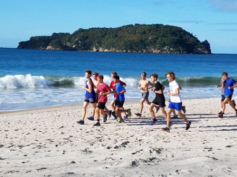 nz-running