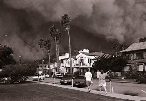 Usually a place of coastal beauty, Heisler Park was transformed during the 1993 fire. 