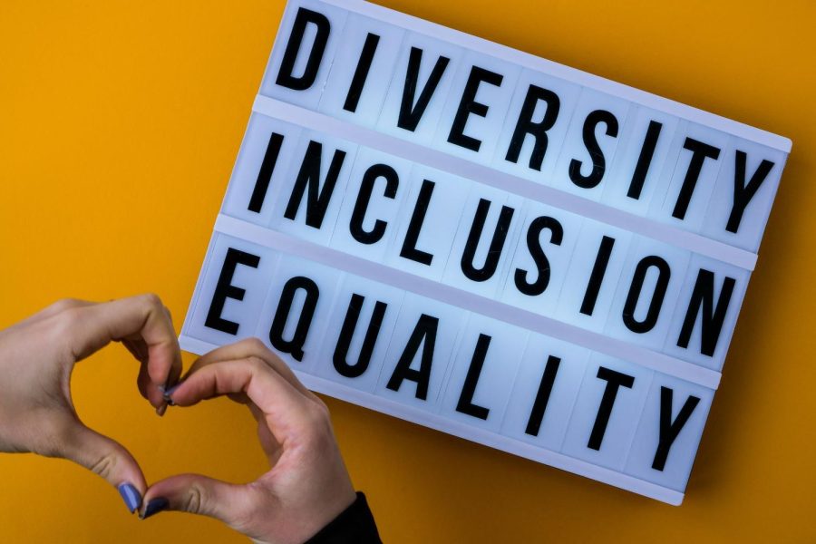 diversity-inclusion-equality-lettering-text-dive-2022-11-09-09-55-09-utc