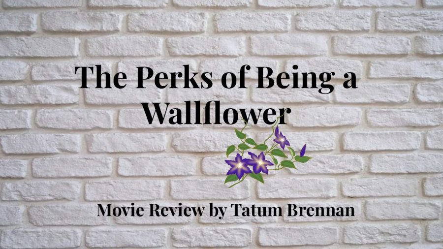 The connection between The Perks of Being a Wallflower and teenagers