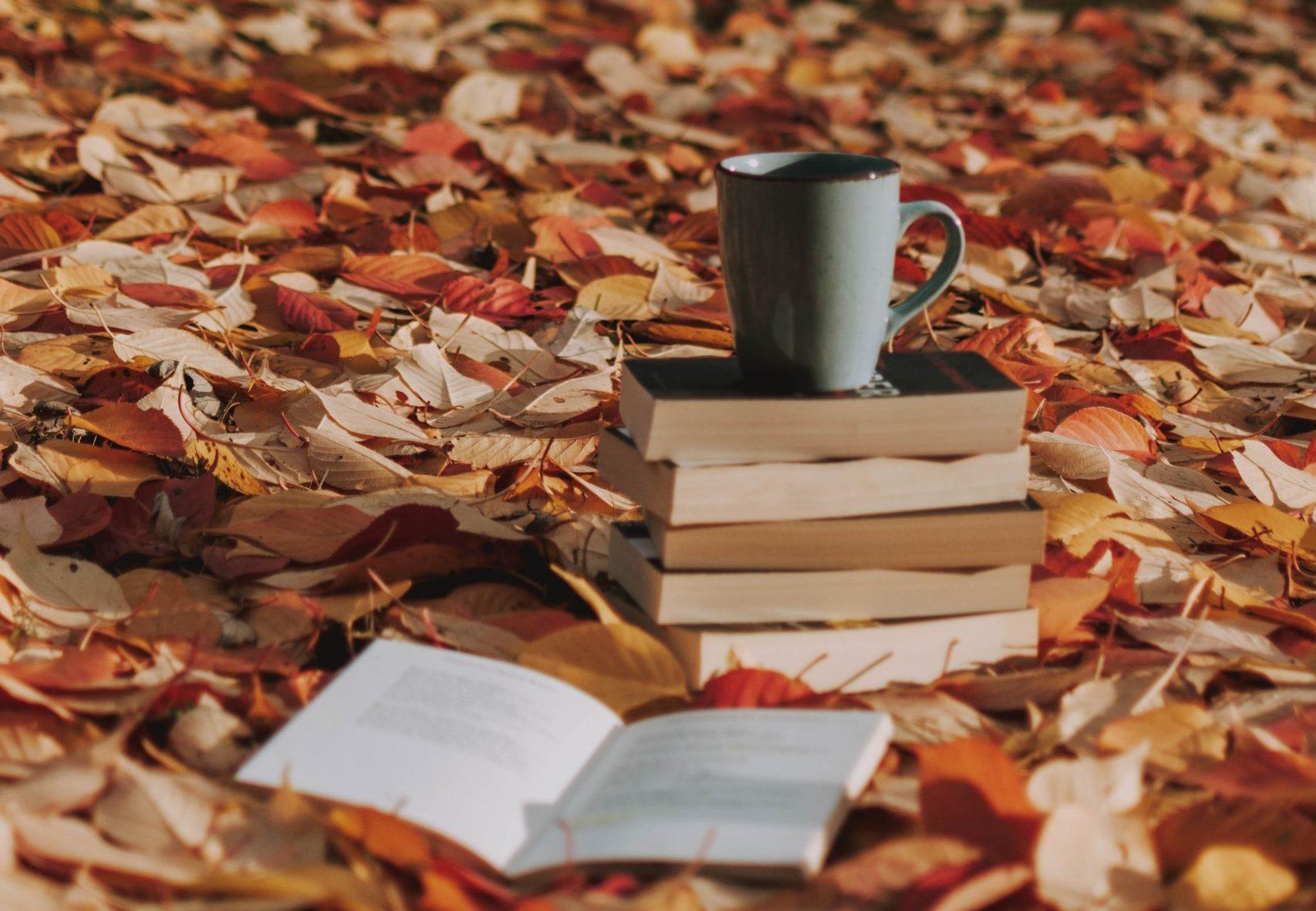 5 Must-Read Books for Fall 2024